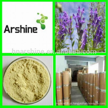 Scutellaria Baicalensis Extract Baicalin 70% -90%, extrato radix scutellariae, radix scutellariae